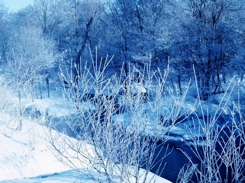 2 Winter Nature Wallpaper