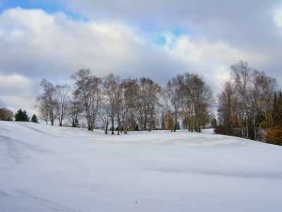 Winter And Snow Scenes