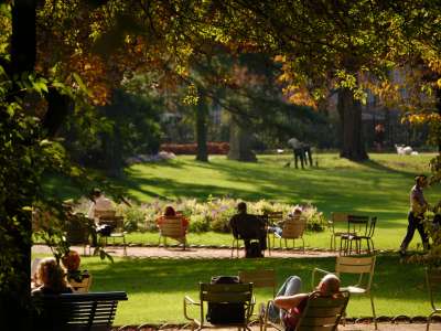 Paris Autumn