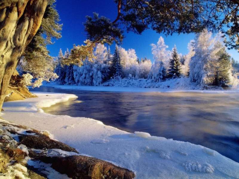 2 Winter Nature Wallpaper