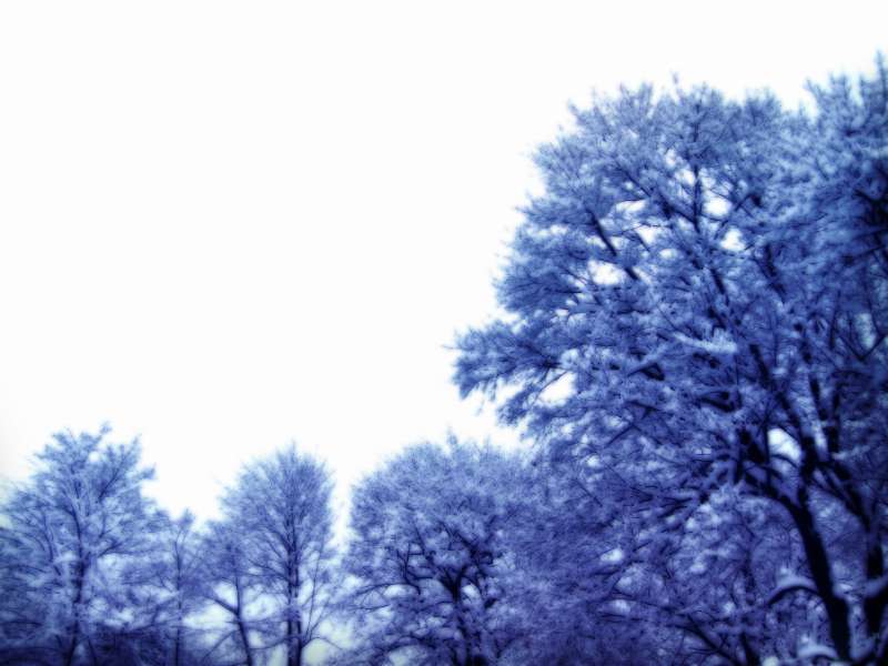 Winter And Snow Scenes Wallpaper